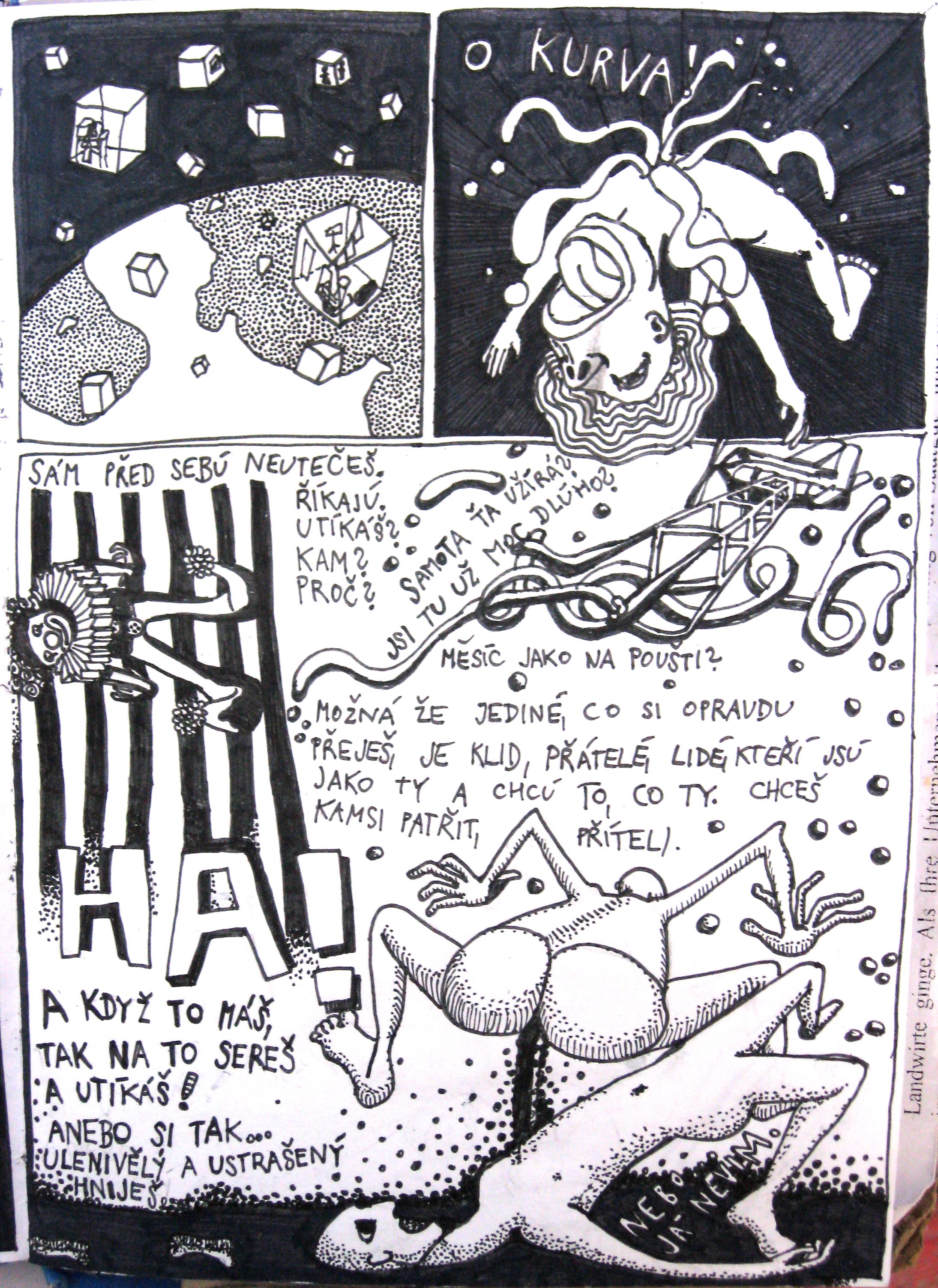 image 21